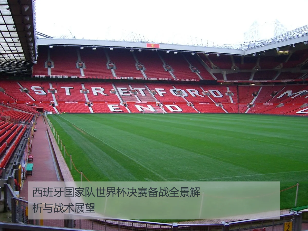 西班牙国家队世界杯决赛备战全景解析与战术展望